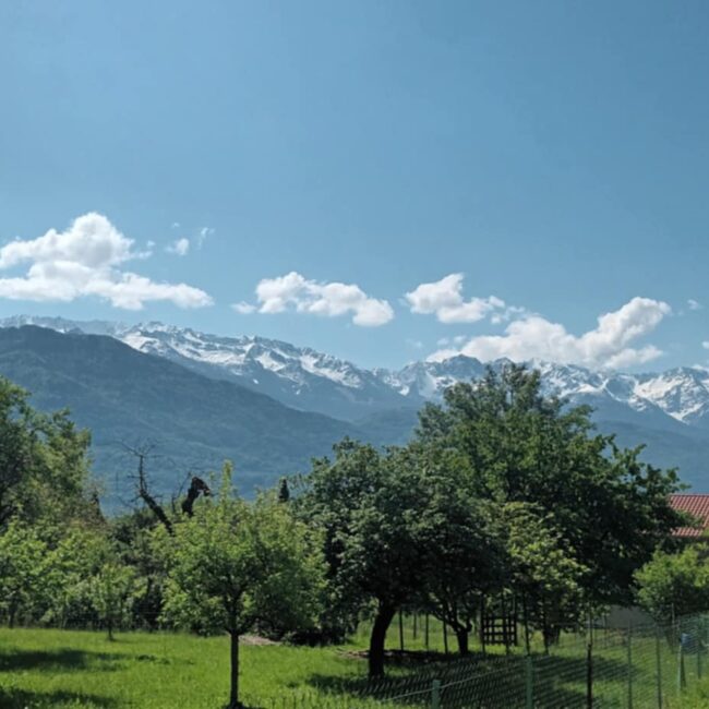 Chaîne de Belledonne - Le Touvet- arbres